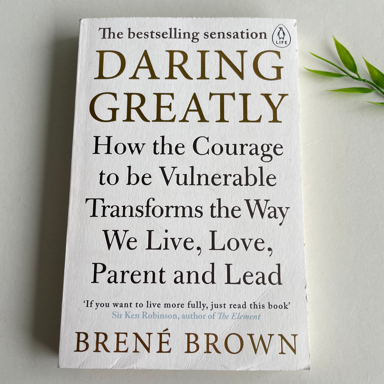 Daring Greatly Brene Brown