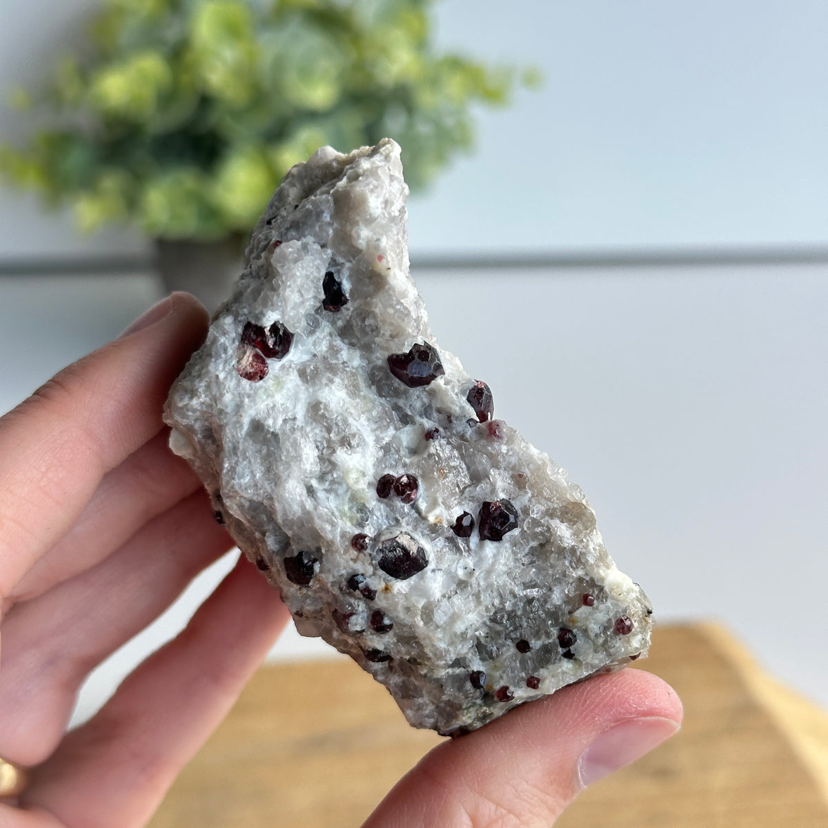 Garnet In Quartz Matrix Pce 134g