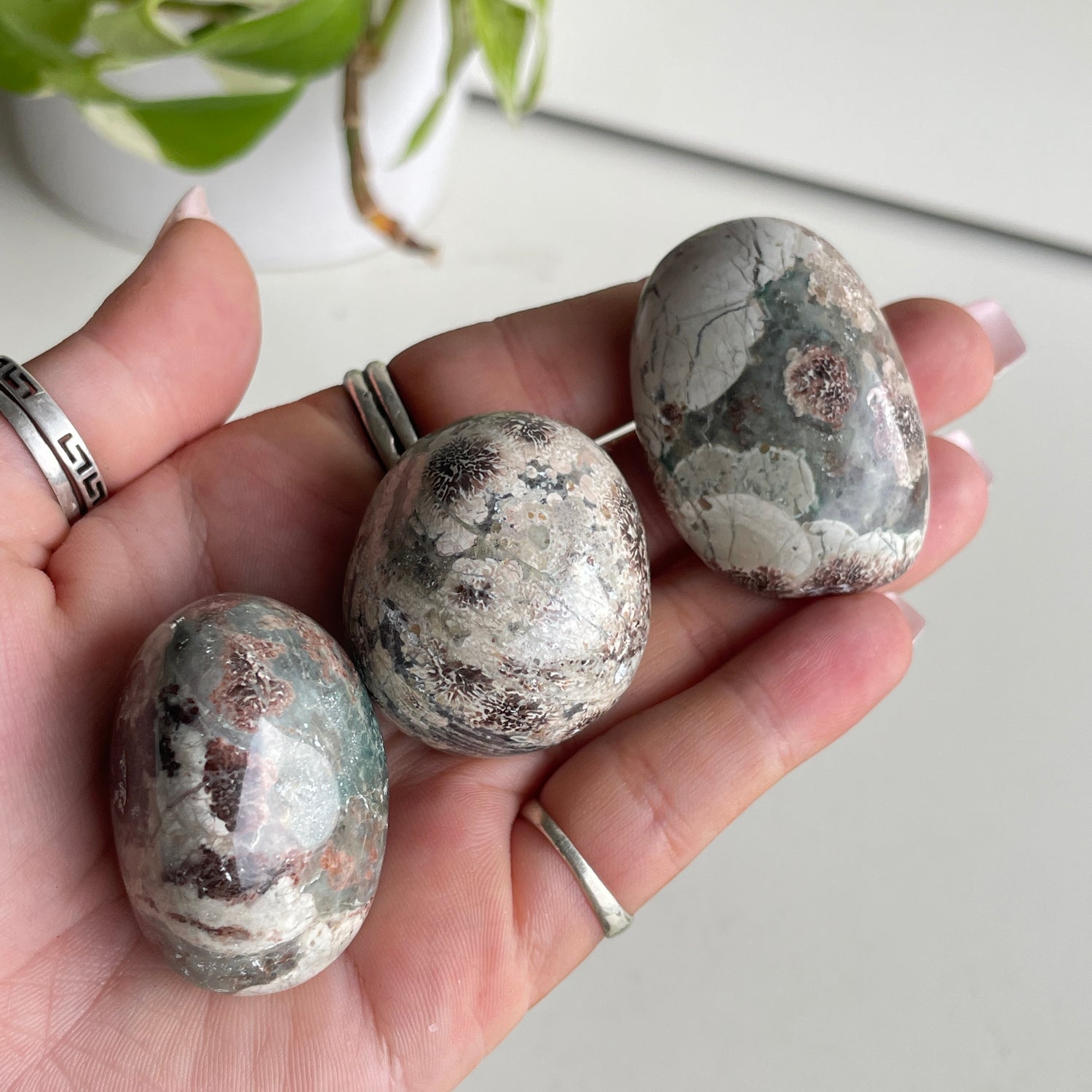 Rhyolite Flower With Green Jasper Tumbled