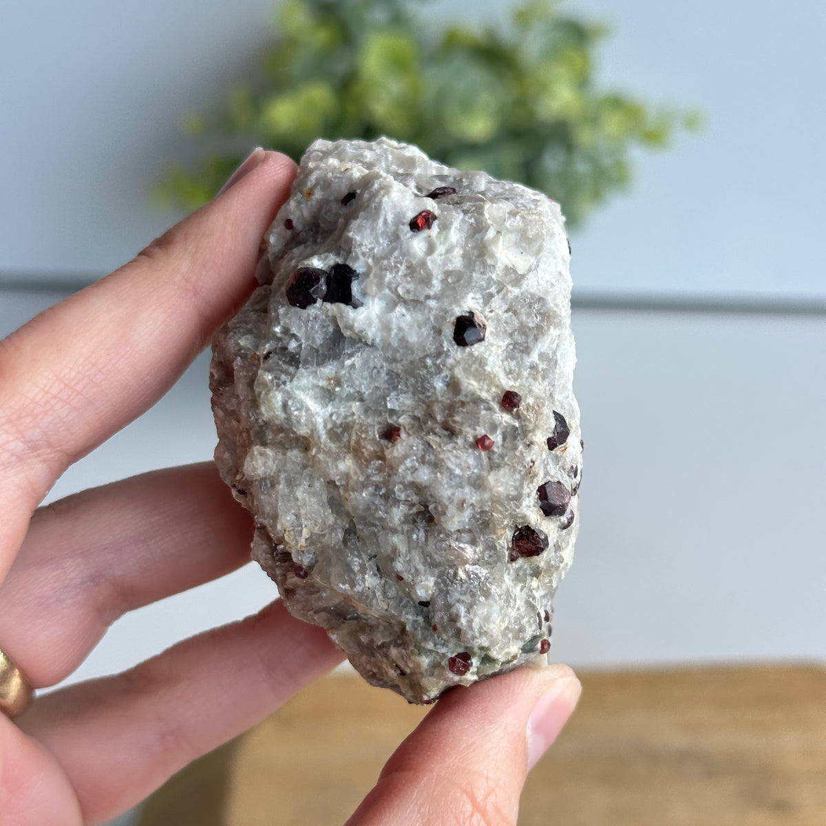 Garnet In Quartz Matrix Pce 134g