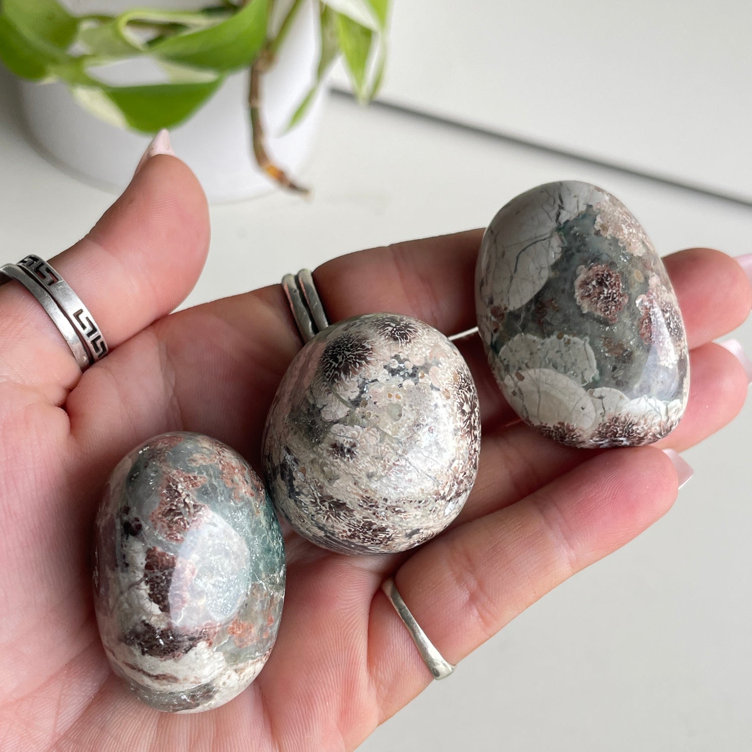 Rhyolite Flower With Green Jasper Tumbled