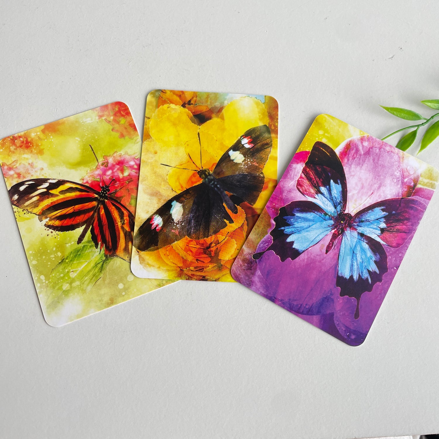 Butterfly Transformations Affirmation Cards Alana Fairchild