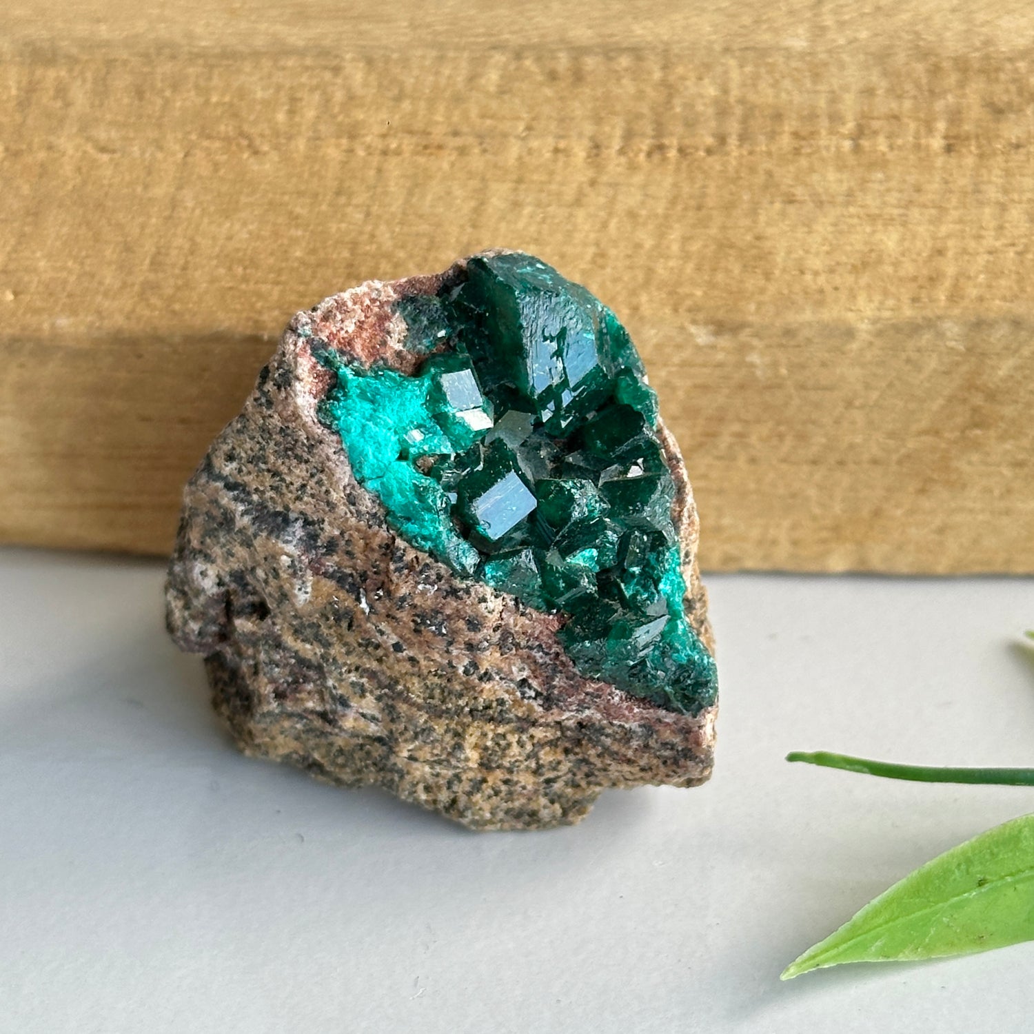 Diaoptase Pce 28g