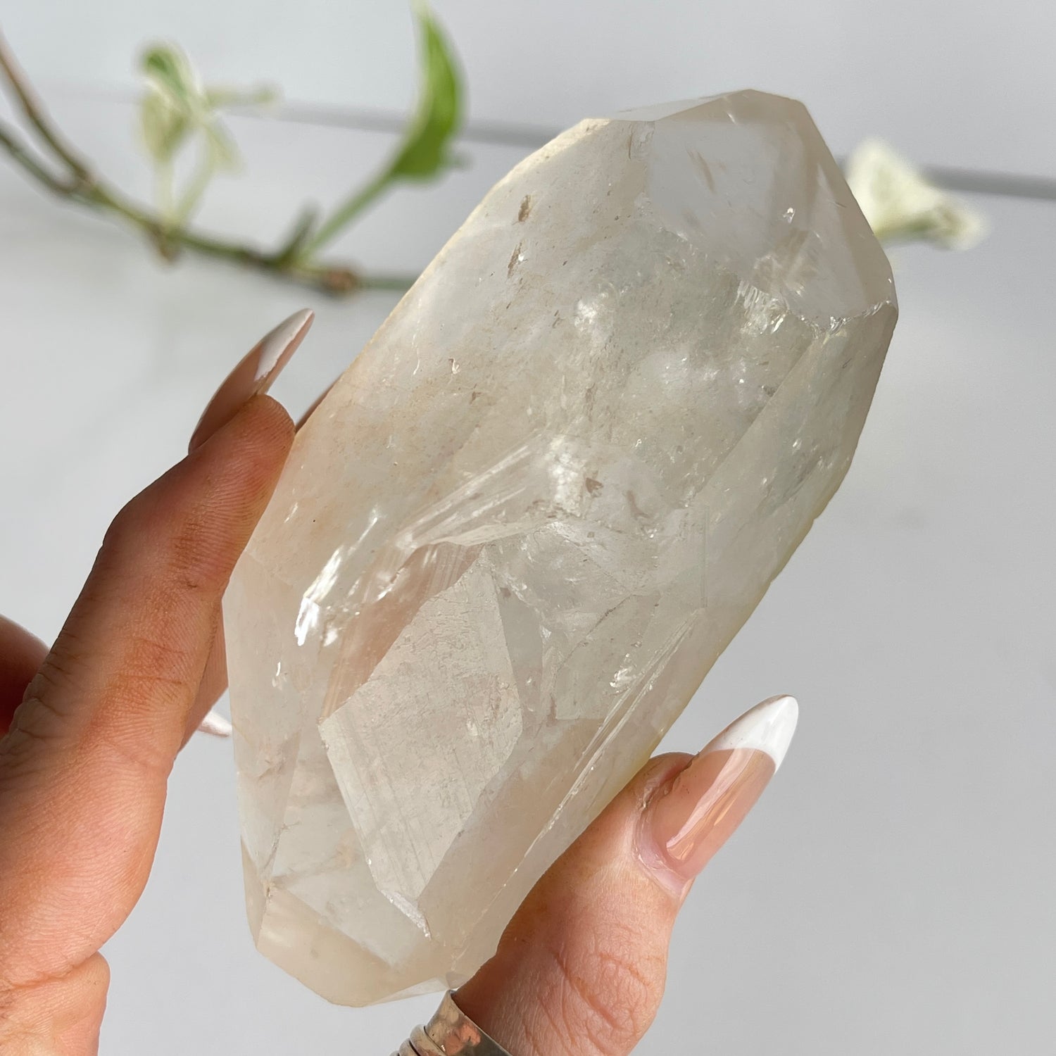Lemurian Quartz Point 234g