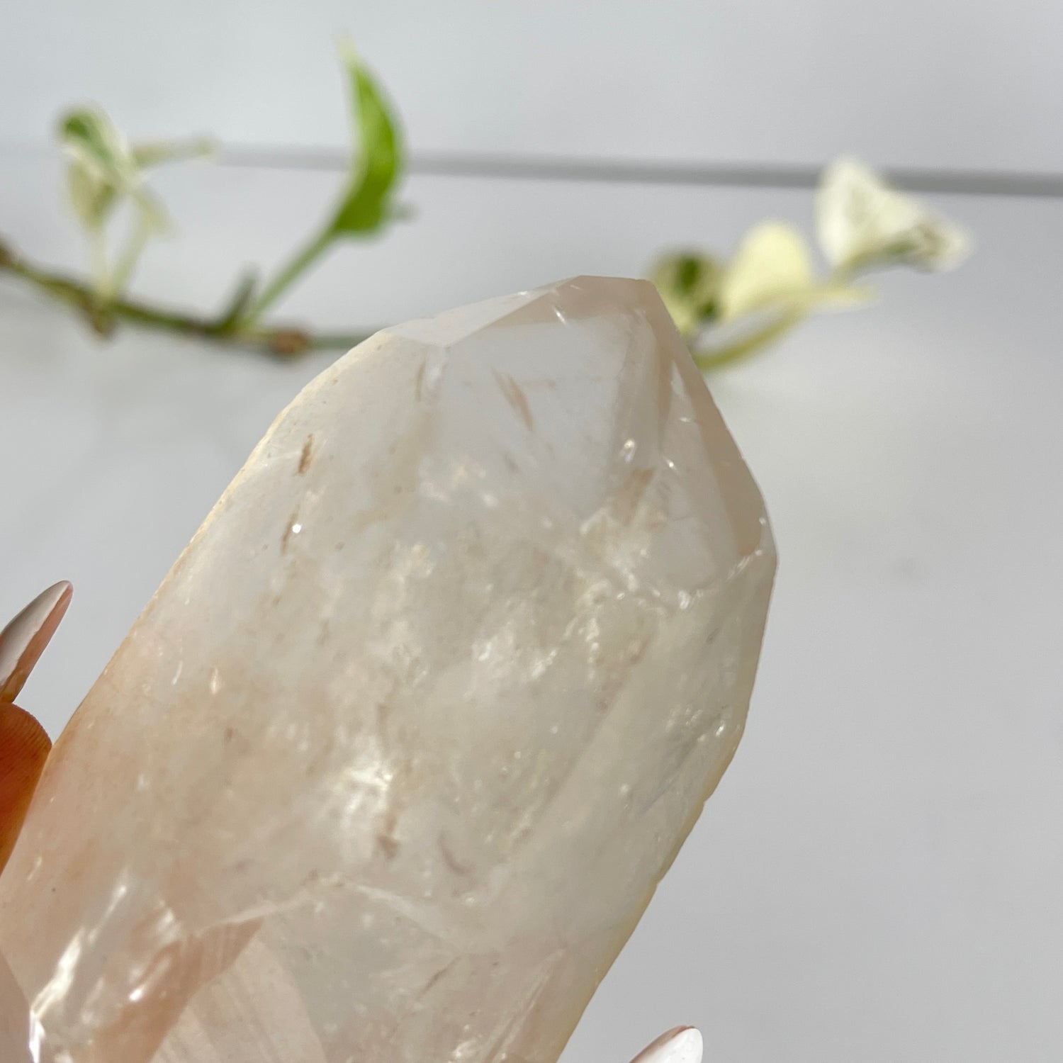 Lemurian Quartz Point 234g