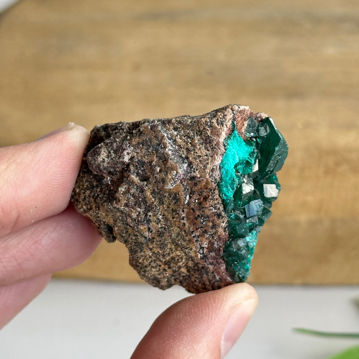 Diaoptase Pce 28g