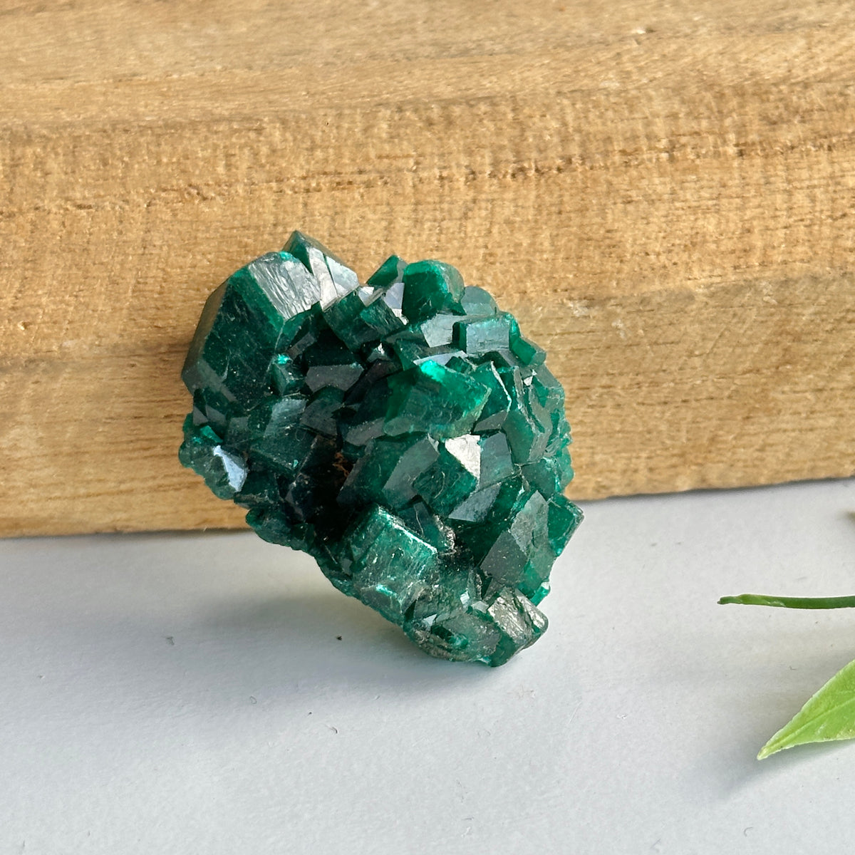 Diaoptase Pce 16g
