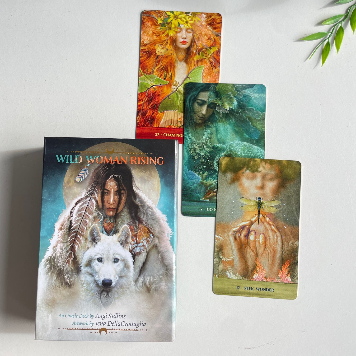 Wild Woman Rising Oracle Cards Angi Sullins
