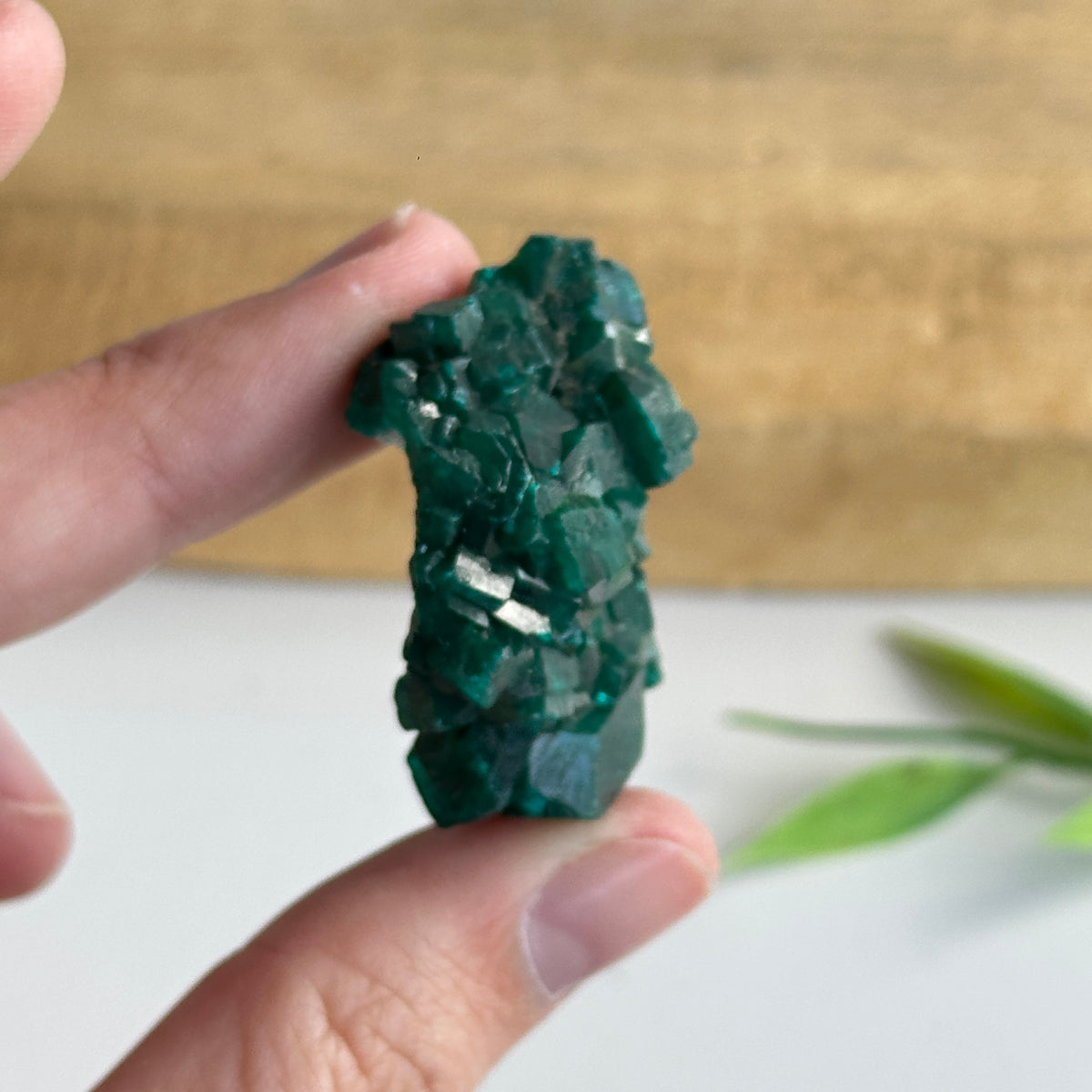Diaoptase Pce 16g