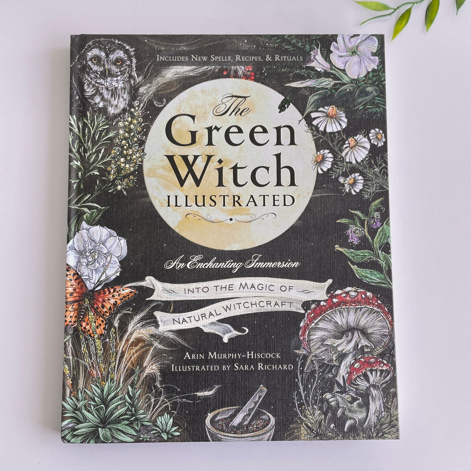 The Green Witch Illustrated Arin Murphy-Hiscock