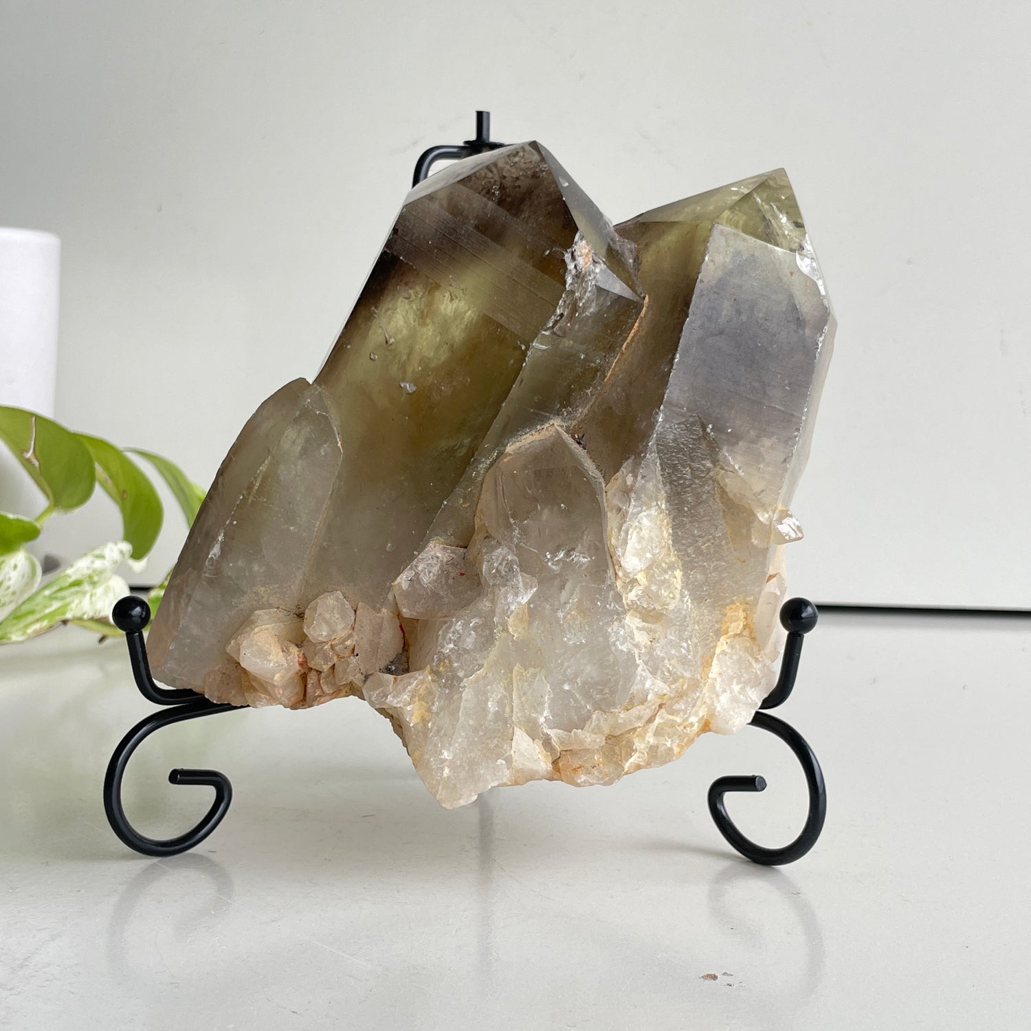 Smoky Citrine Pce 1.604kg