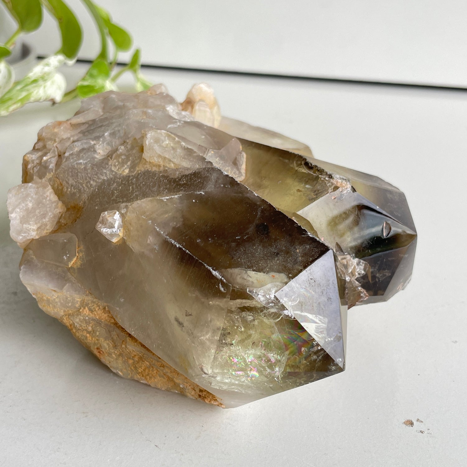Smoky Citrine Pce 1.604kg