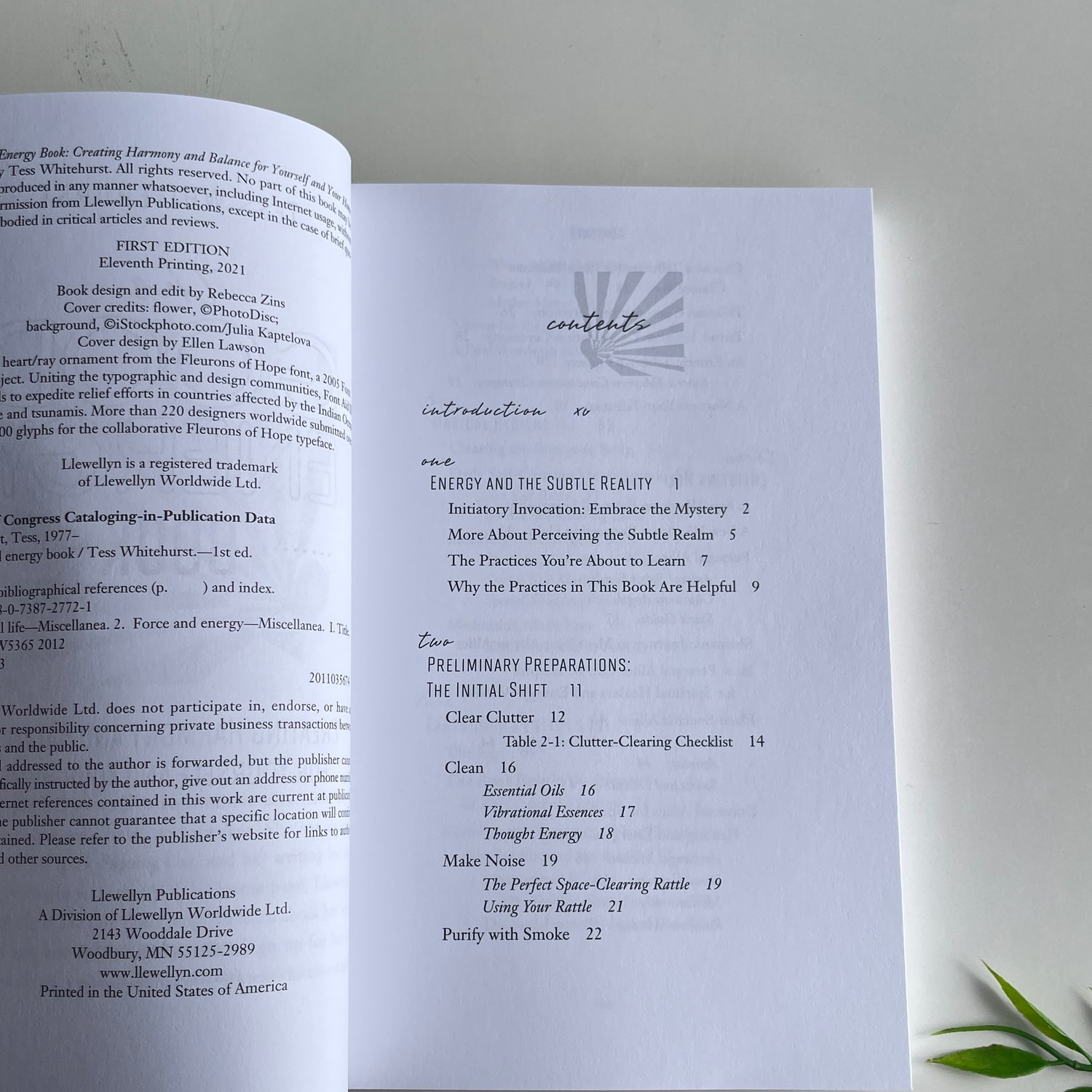 The Good Energy Book Tess Whitehurst