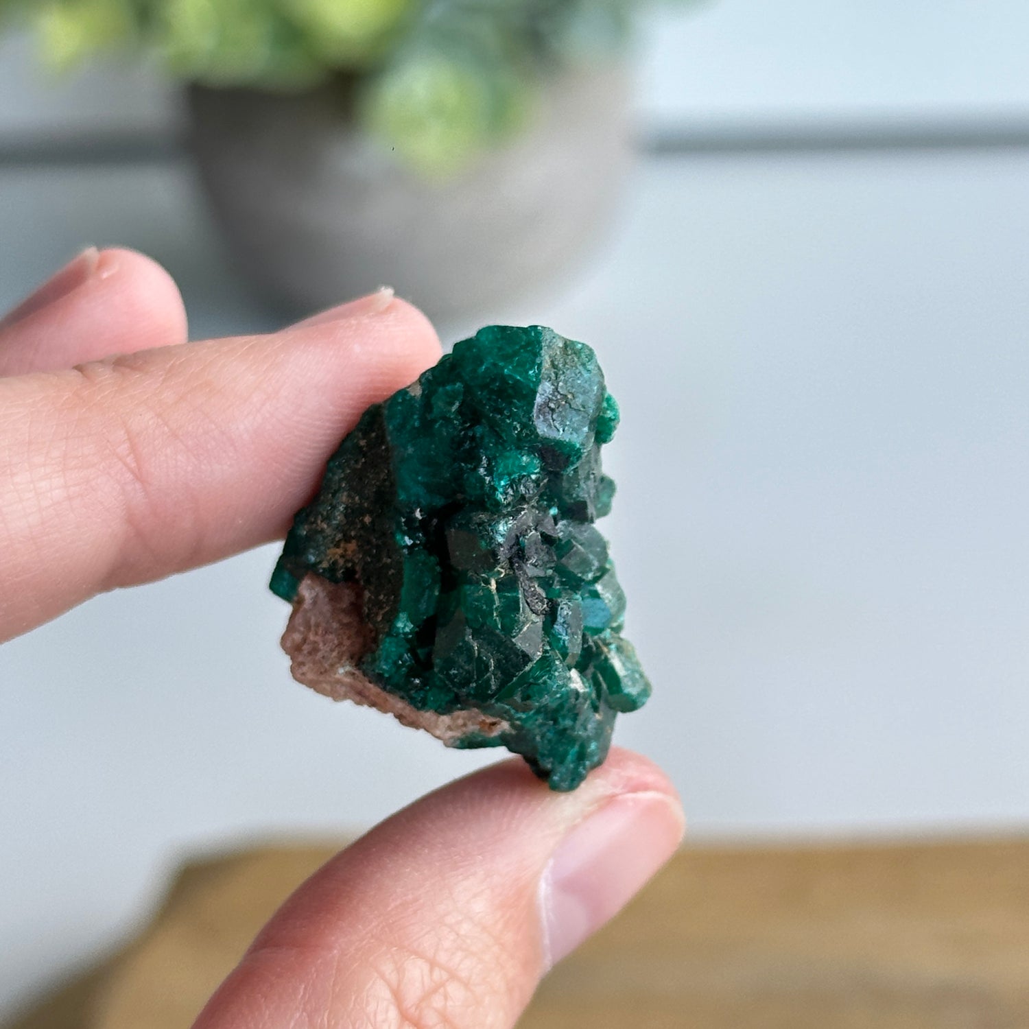 Dioptase Pce 12g