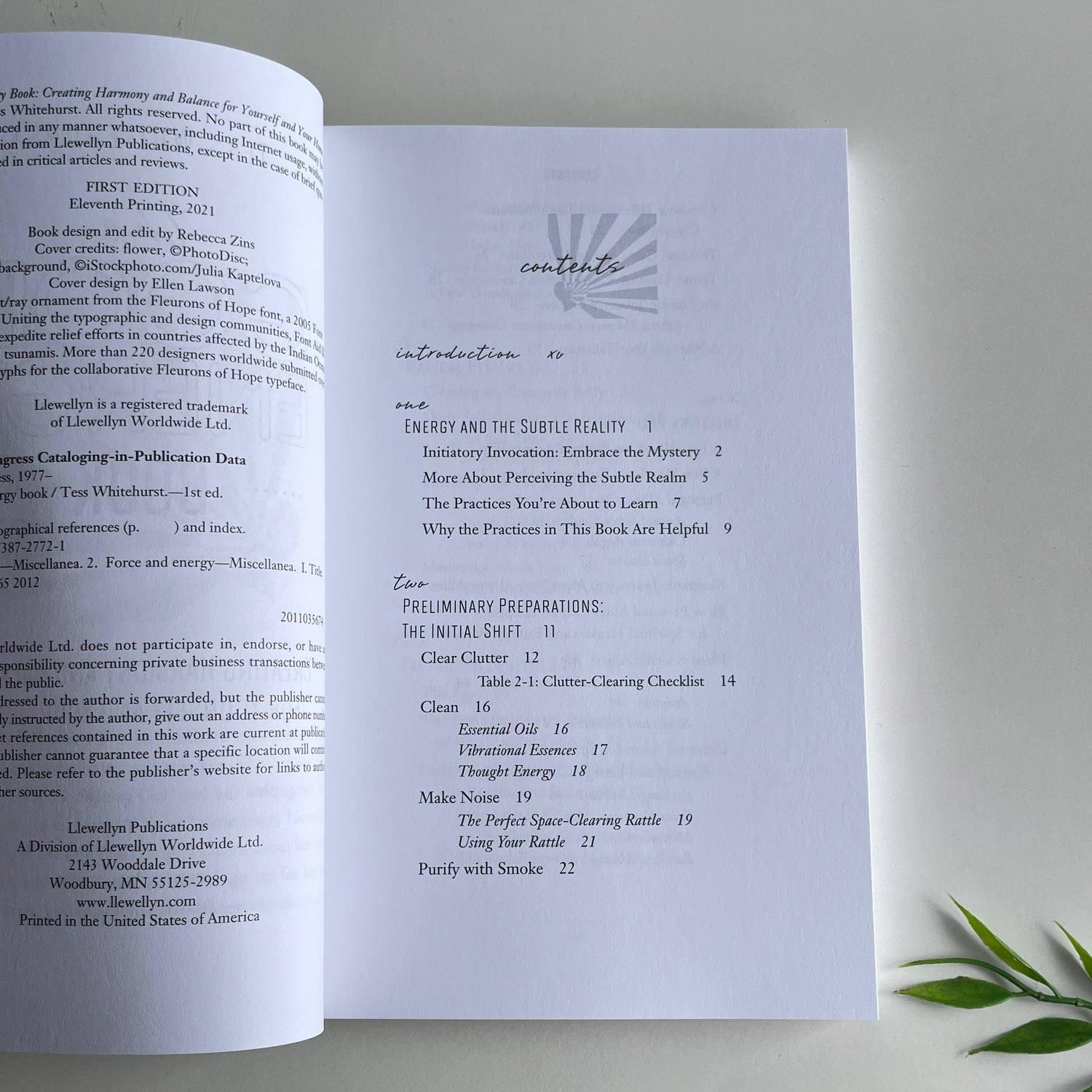 The Good Energy Book Tess Whitehurst