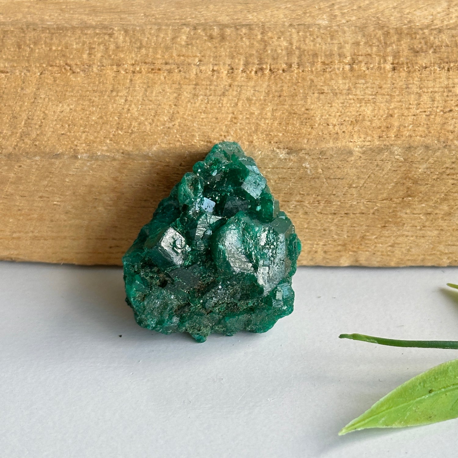 Diaoptase Pce 8g