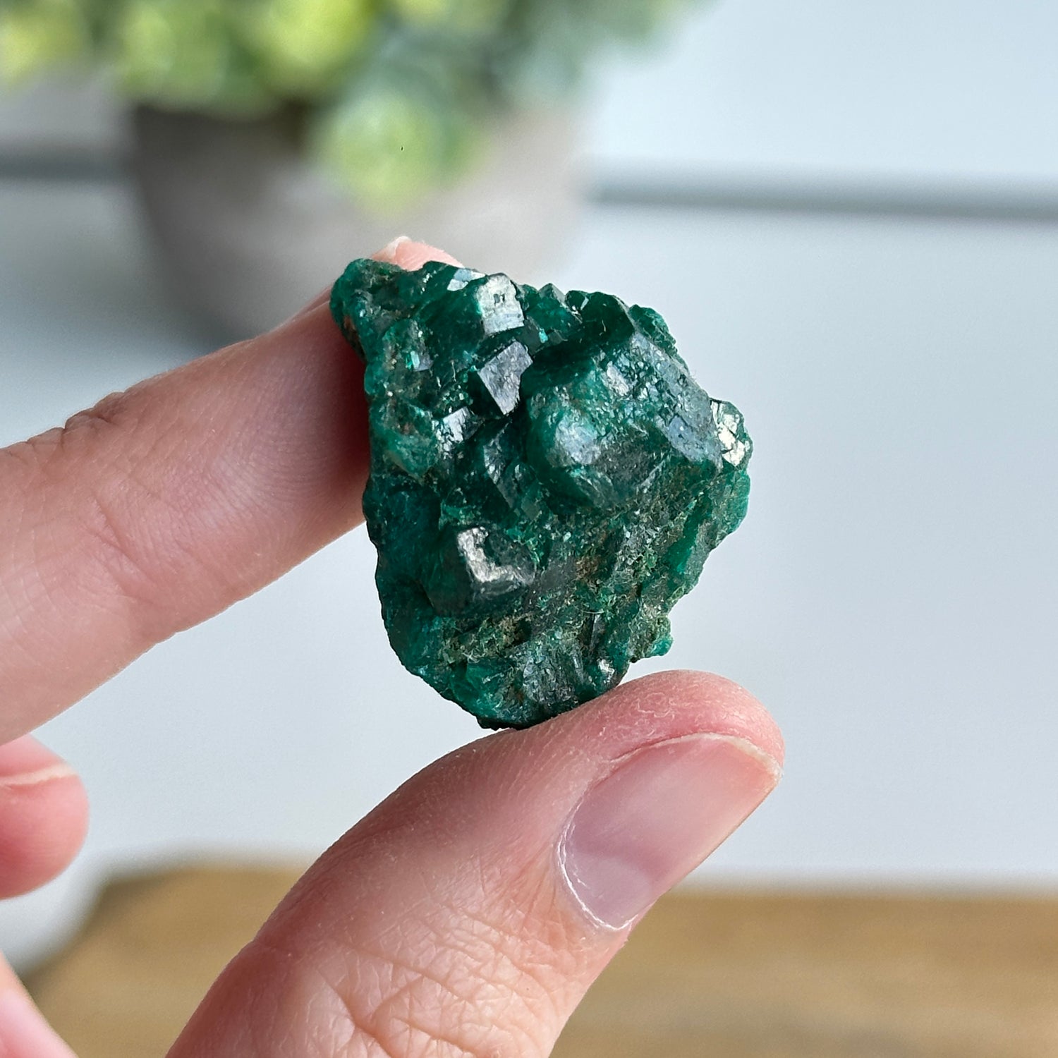 Diaoptase Pce 8g