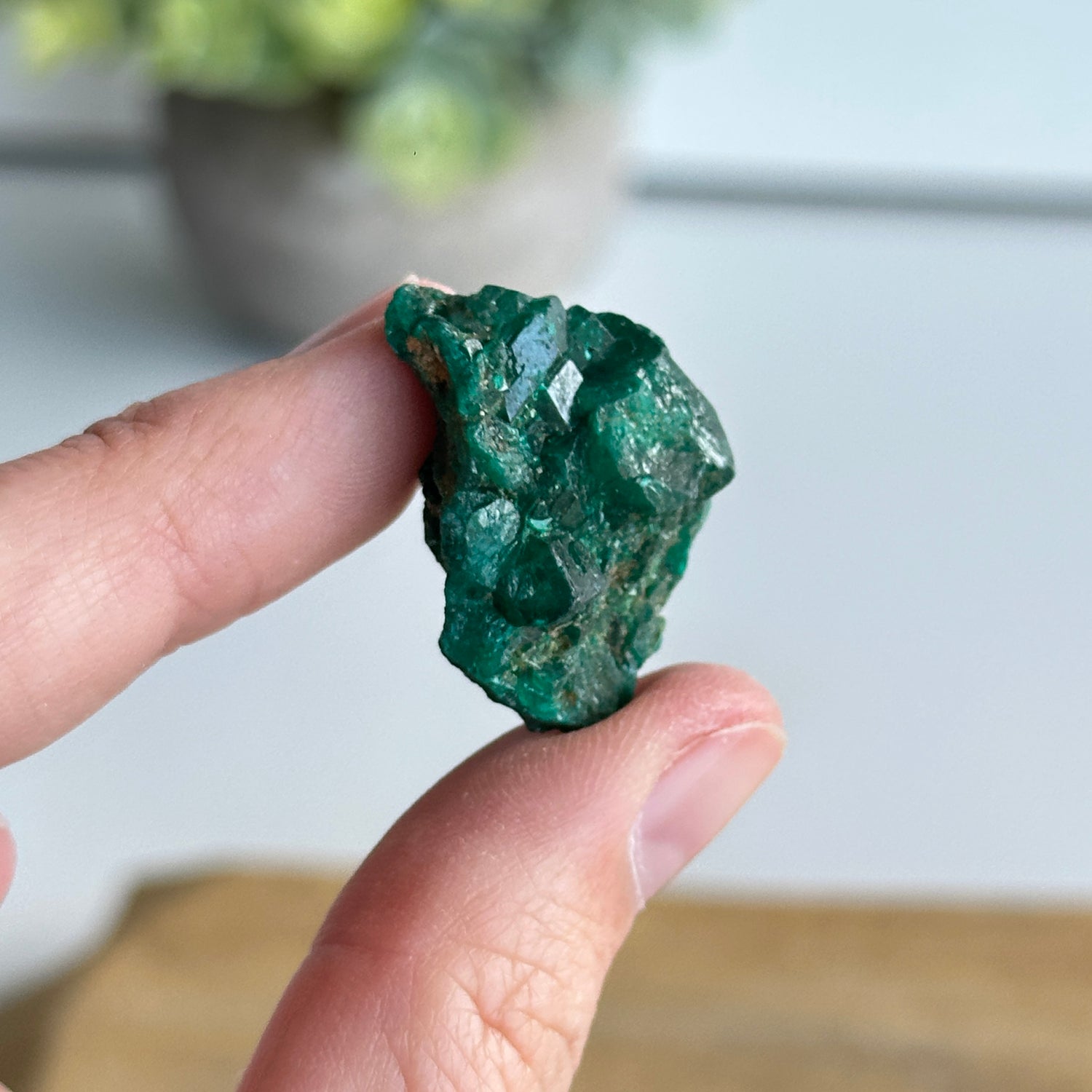 Diaoptase Pce 8g