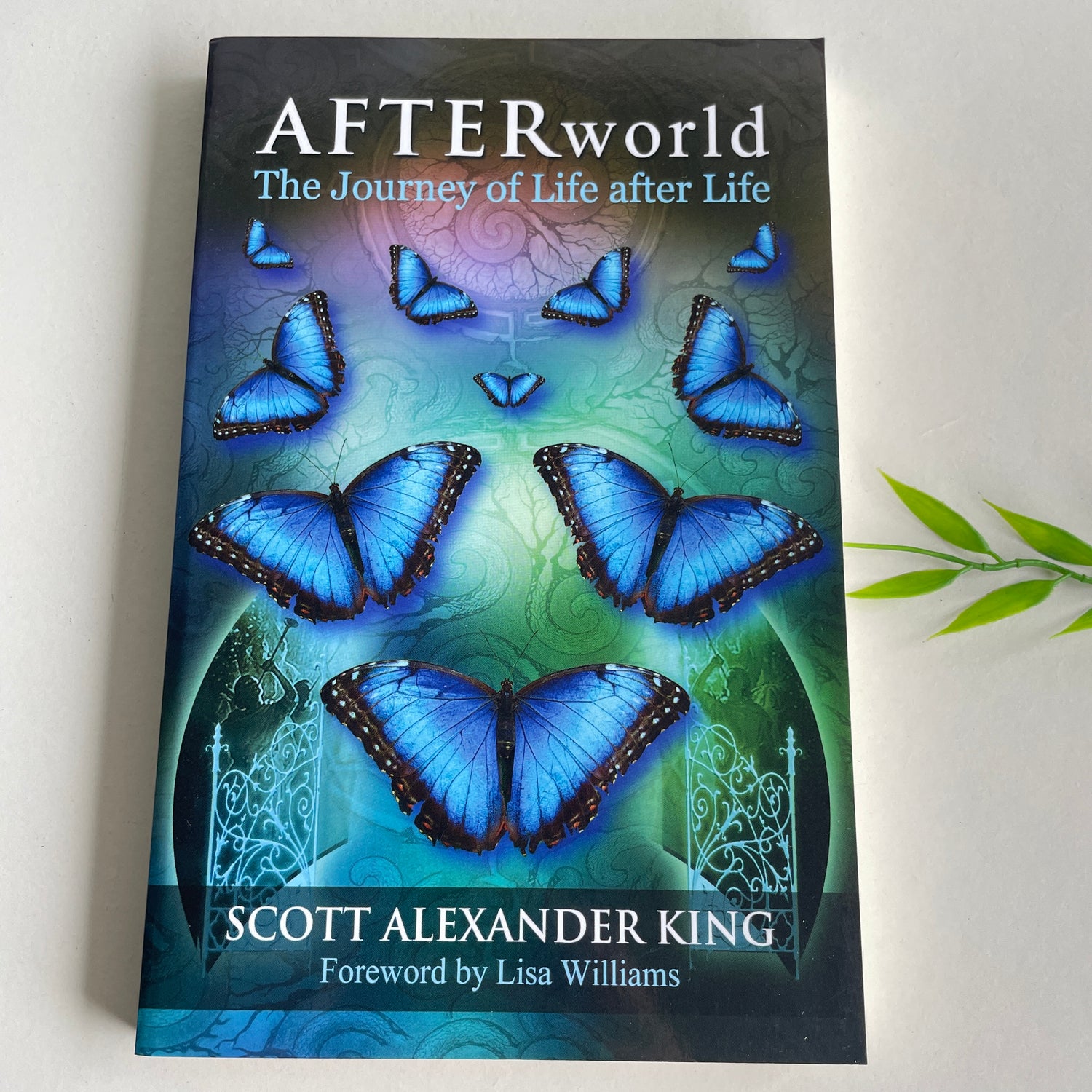 Afterworld Scott King