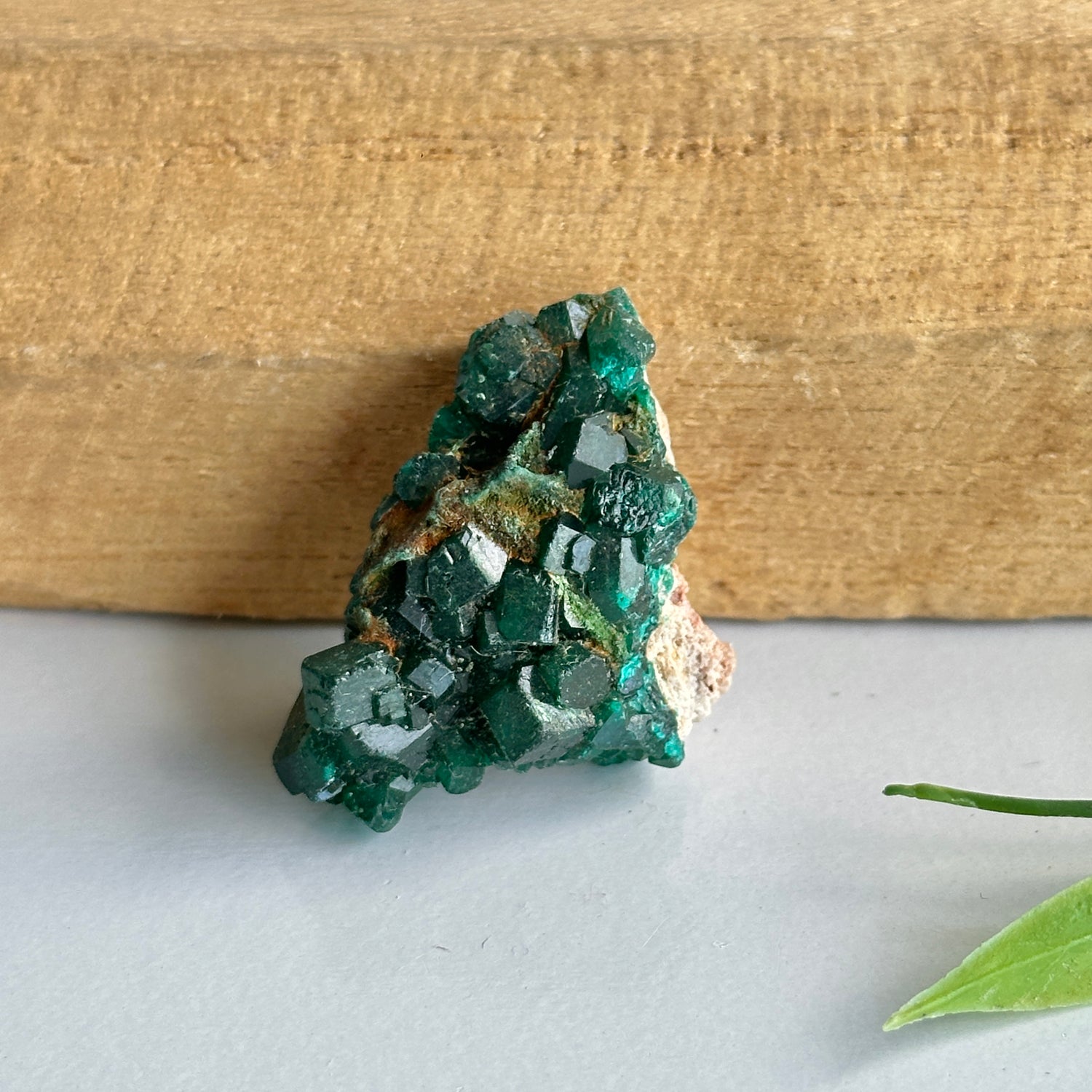 Diaoptase Pce 8g