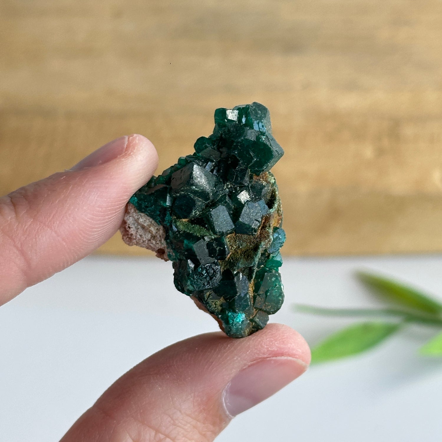 Diaoptase Pce 8g