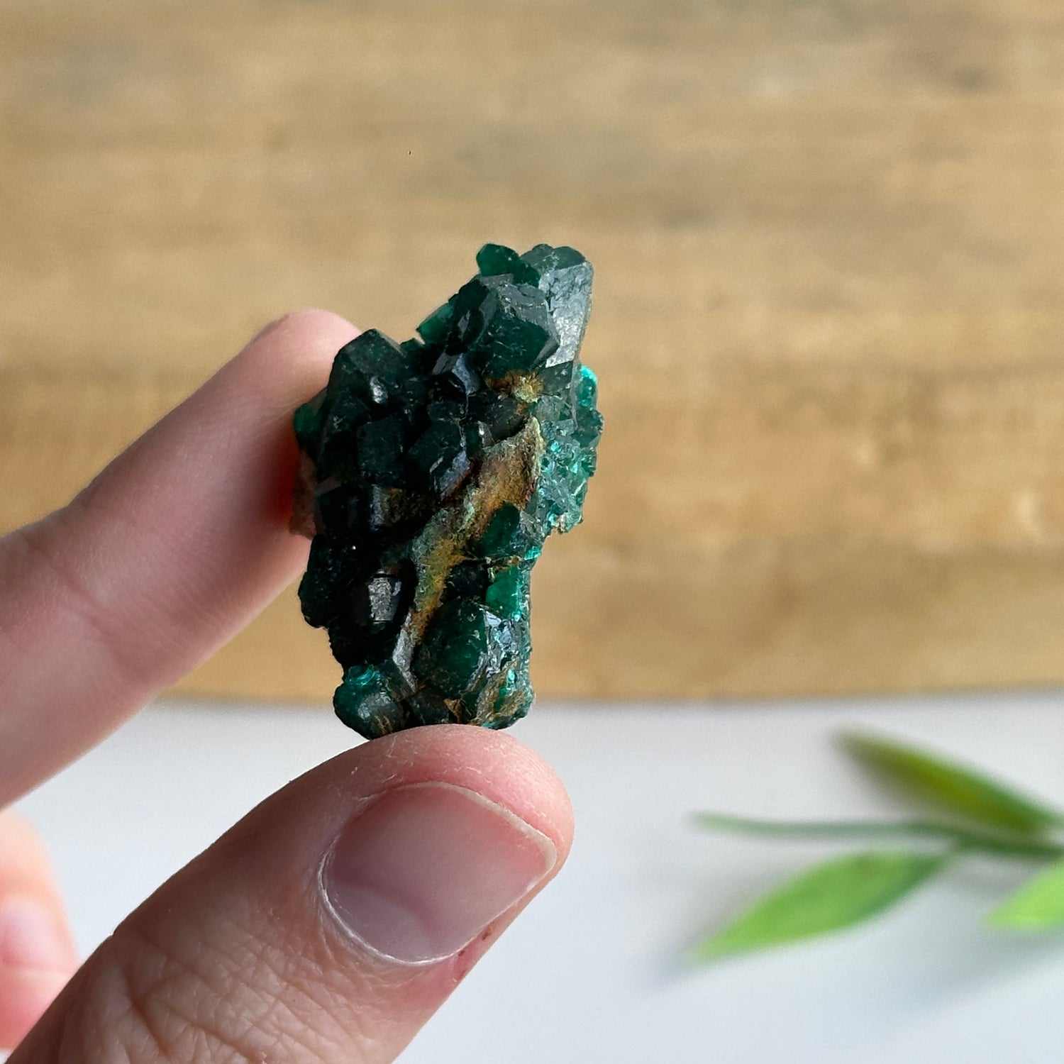Diaoptase Pce 8g