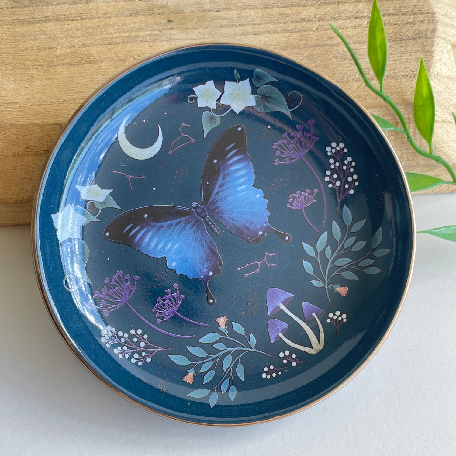 Midnight Moth Trinket Dish MF07925