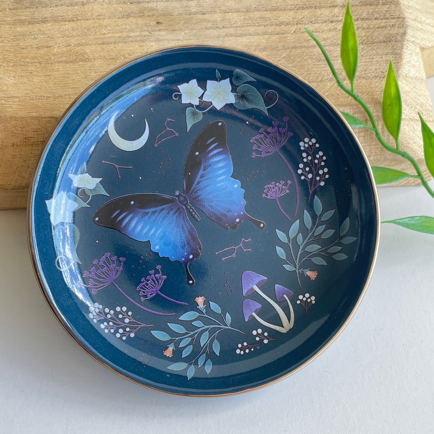 Midnight Moth Trinket Dish MF07925