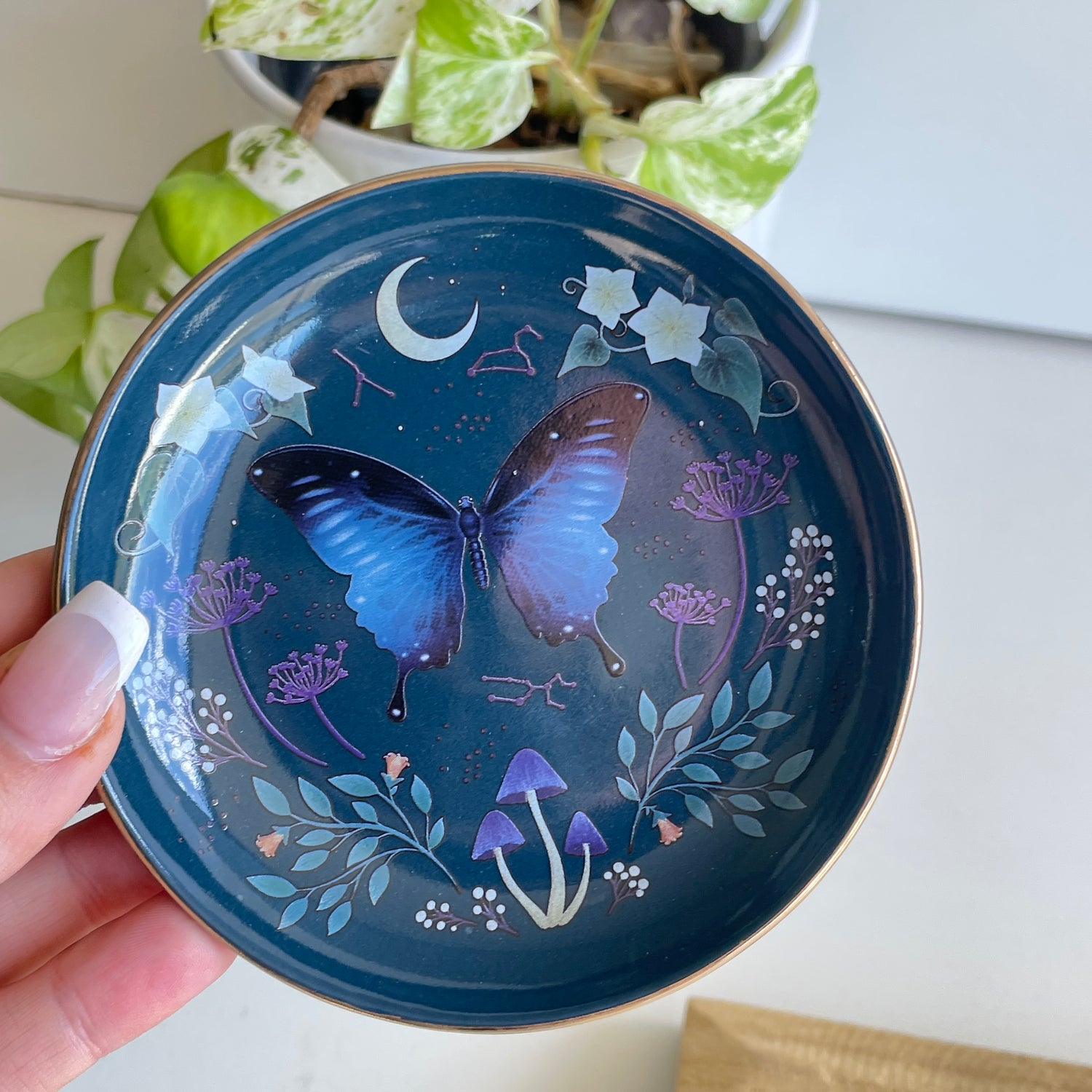 Midnight Moth Trinket Dish MF07925