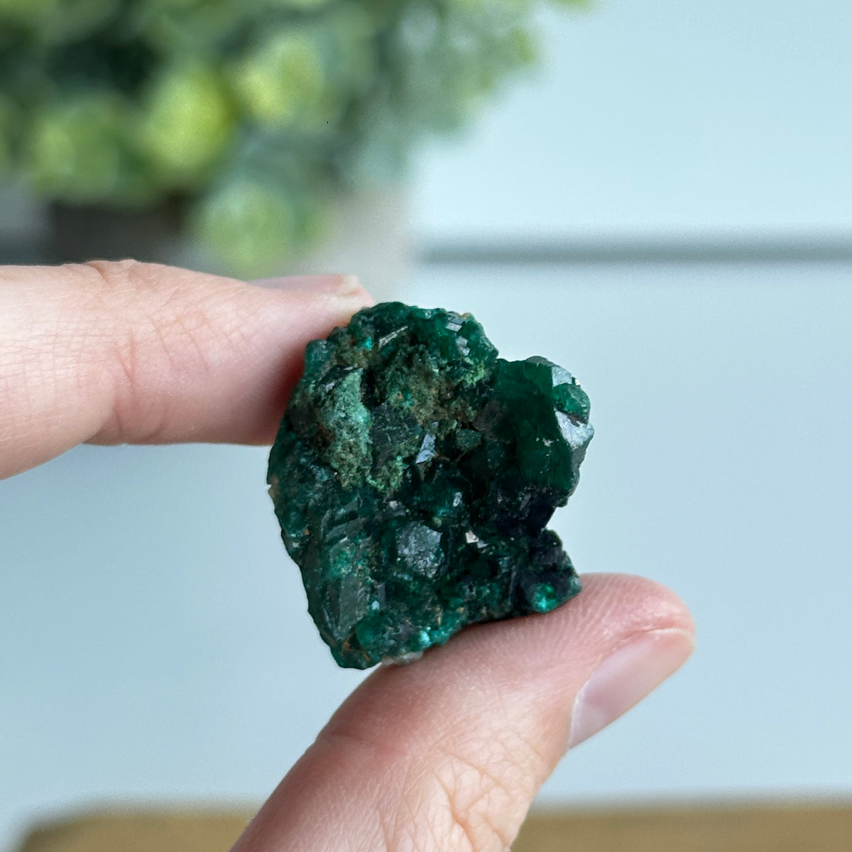 Dioptase Pce 10g