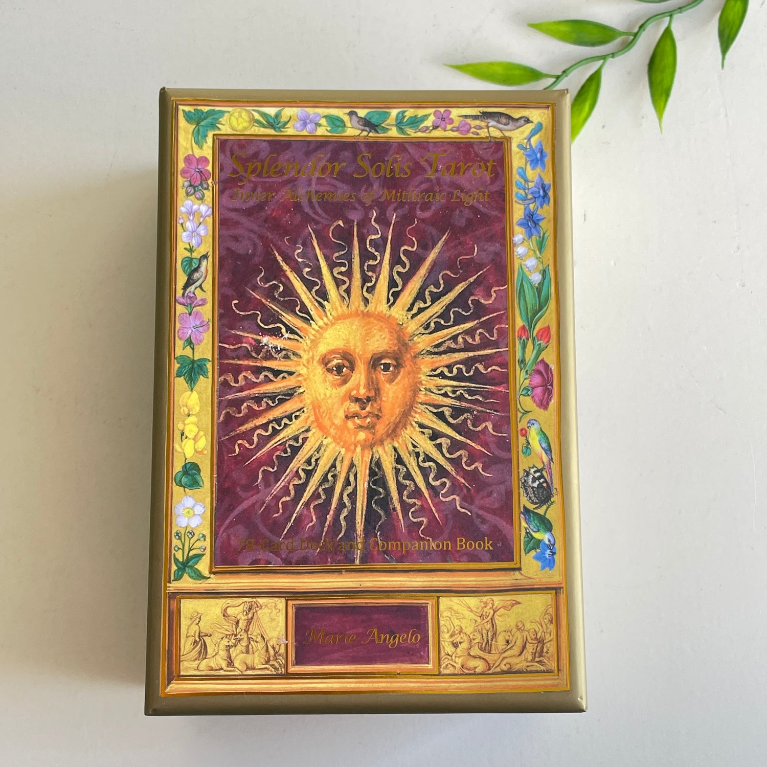 Splendor Solis Tarot