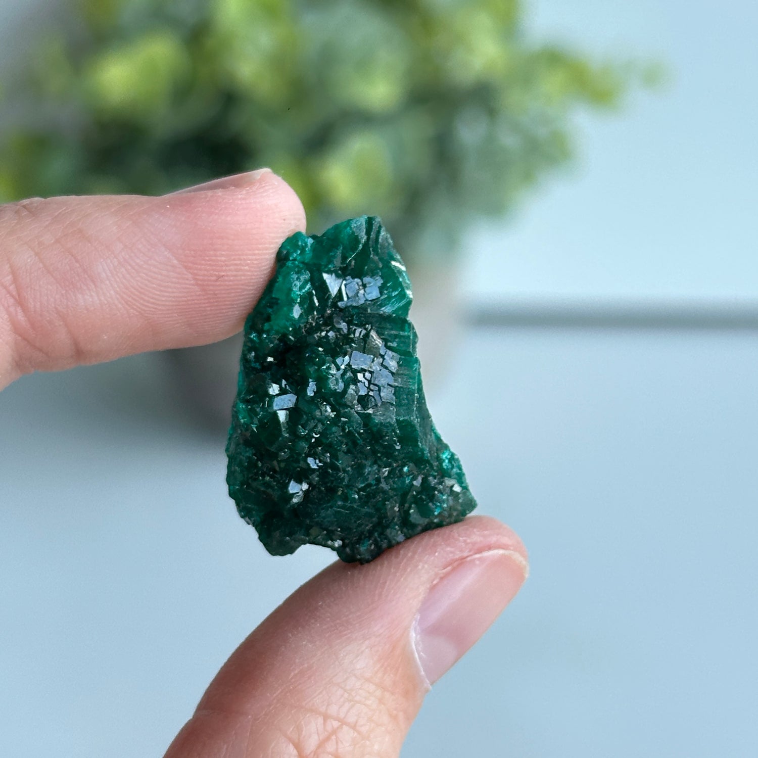 Dioptase Pce 6g