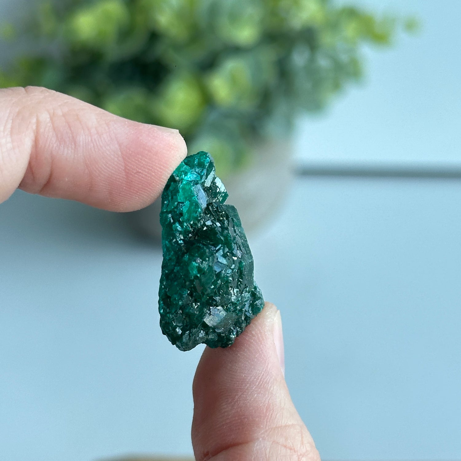 Dioptase Pce 6g