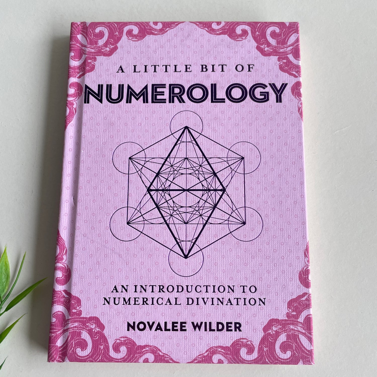 A Little Bit Of Numerology Novalee Wilder