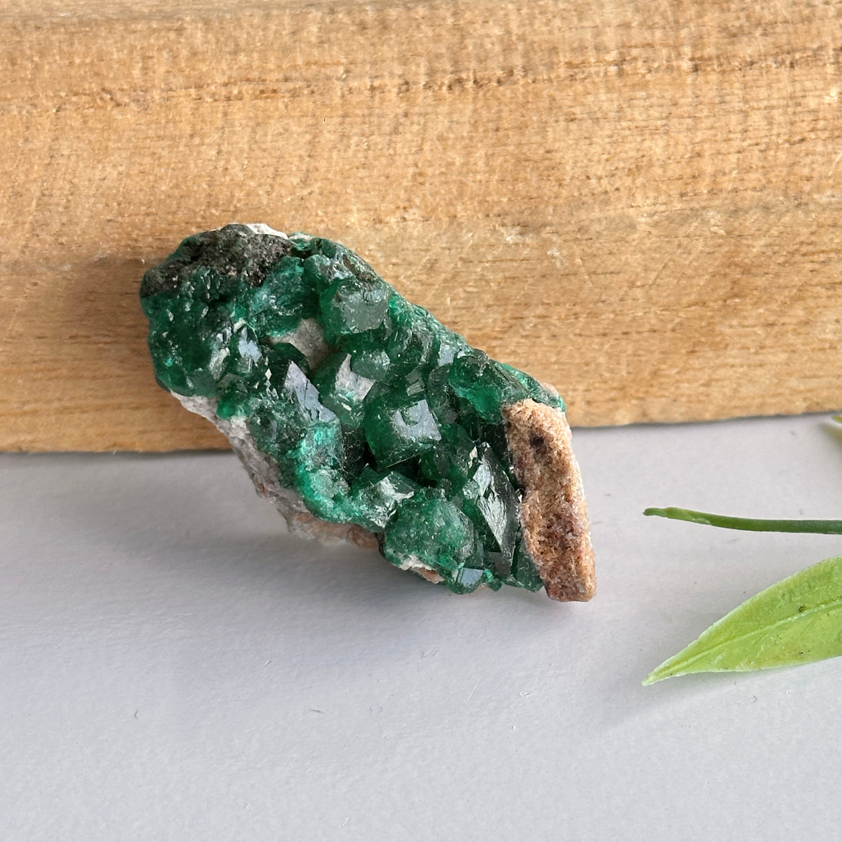 Diaoptase Pce 12g
