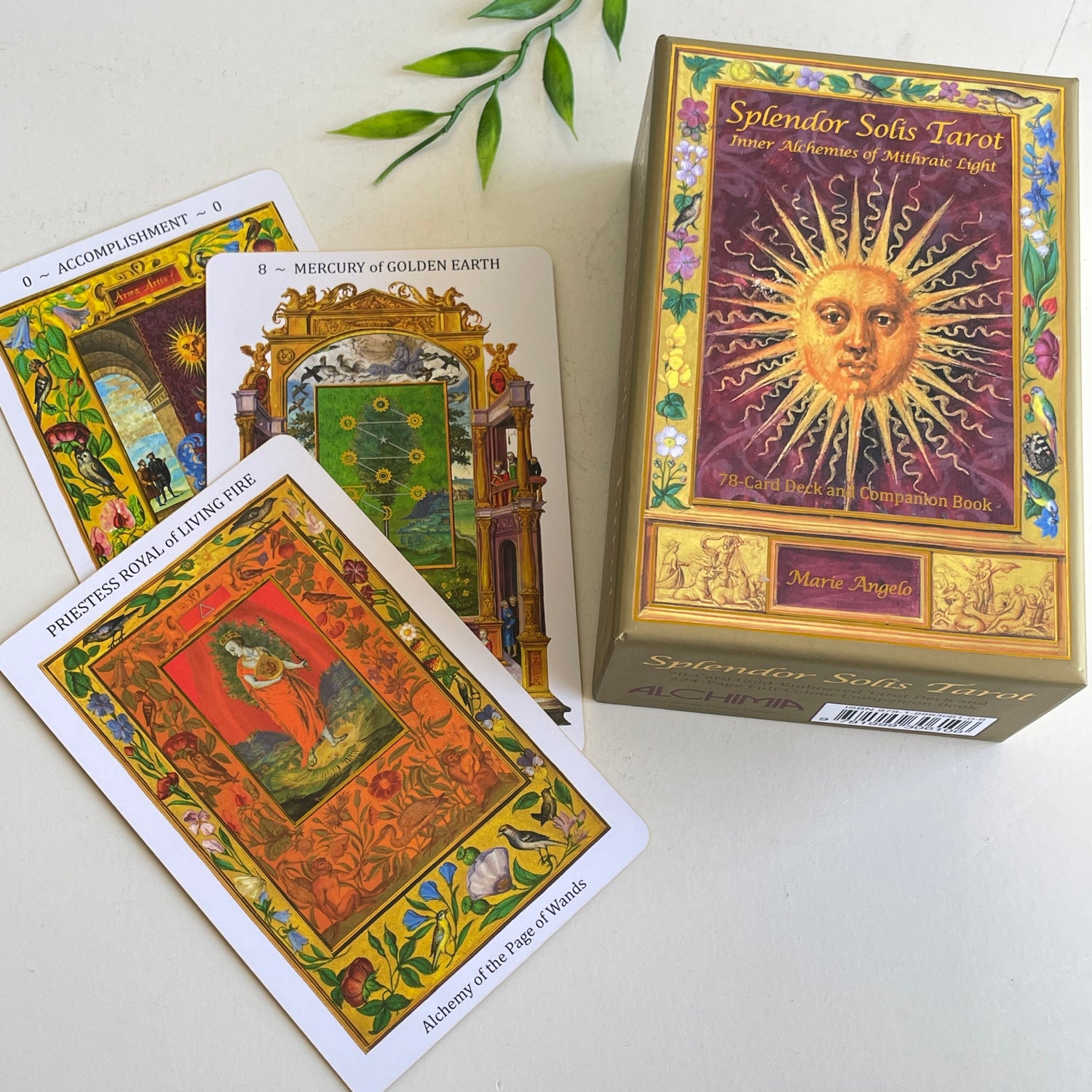 Splendor Solis Tarot