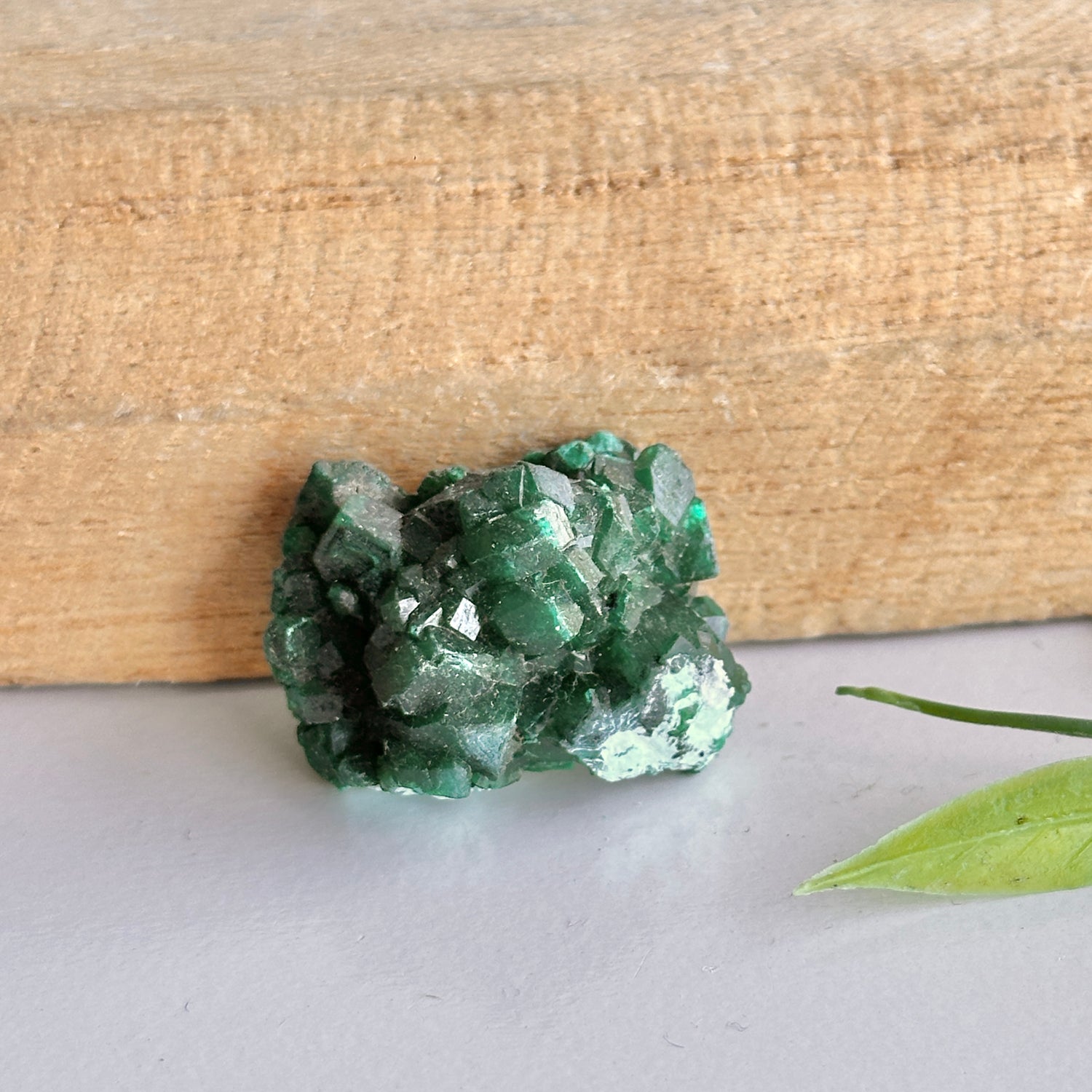 Diaoptase Pce 6g