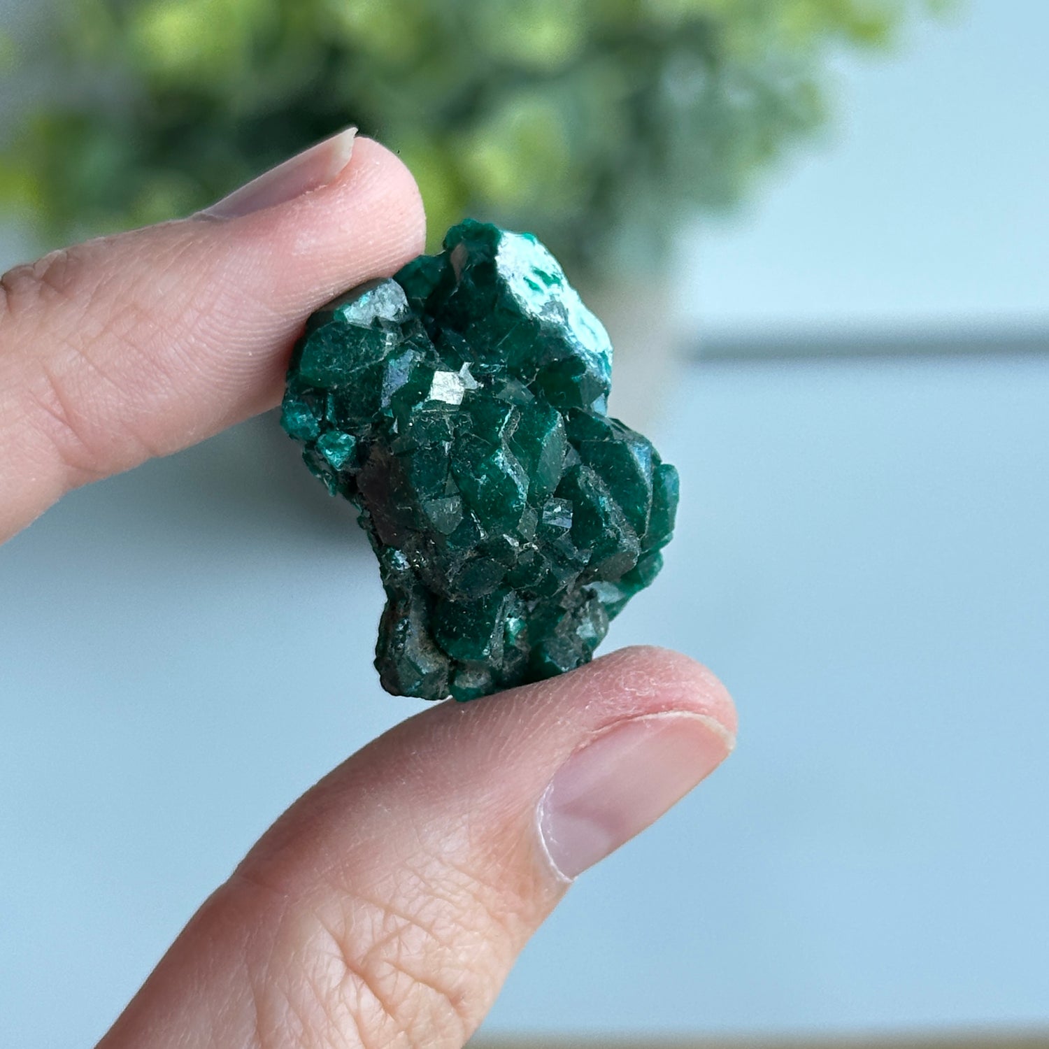 Diaoptase Pce 6g