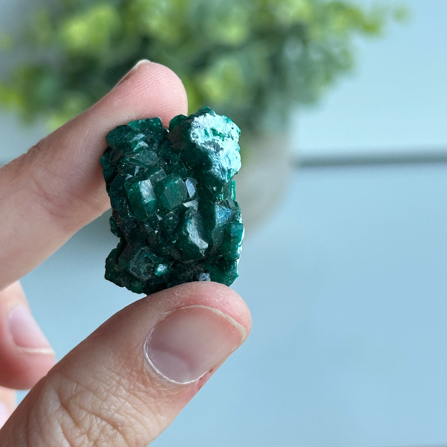 Diaoptase Pce 6g
