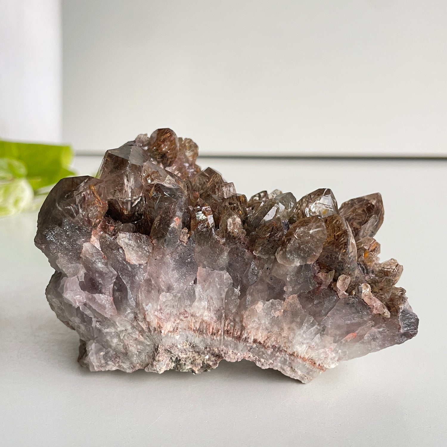 Congo Quartz Cluster 355g