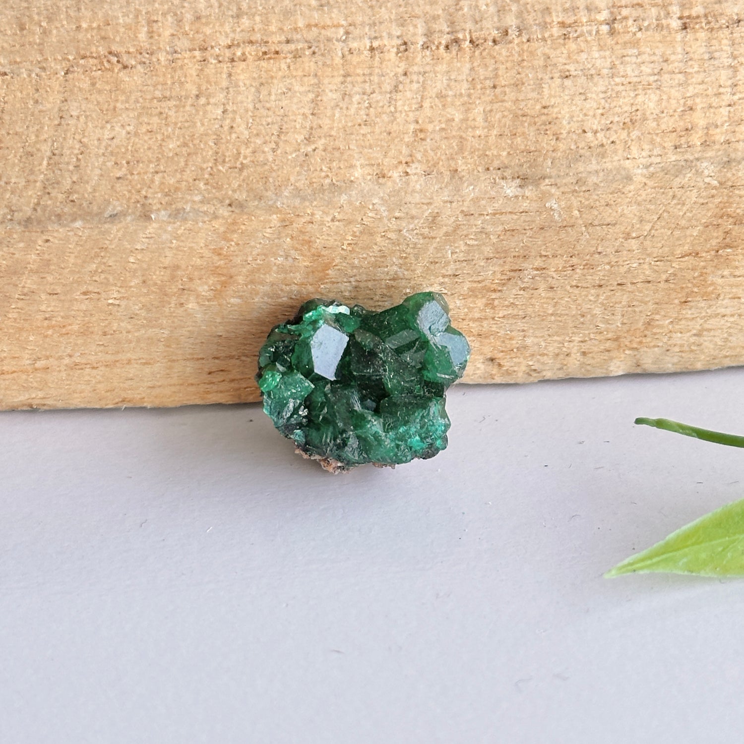Diaoptase Pce 2g