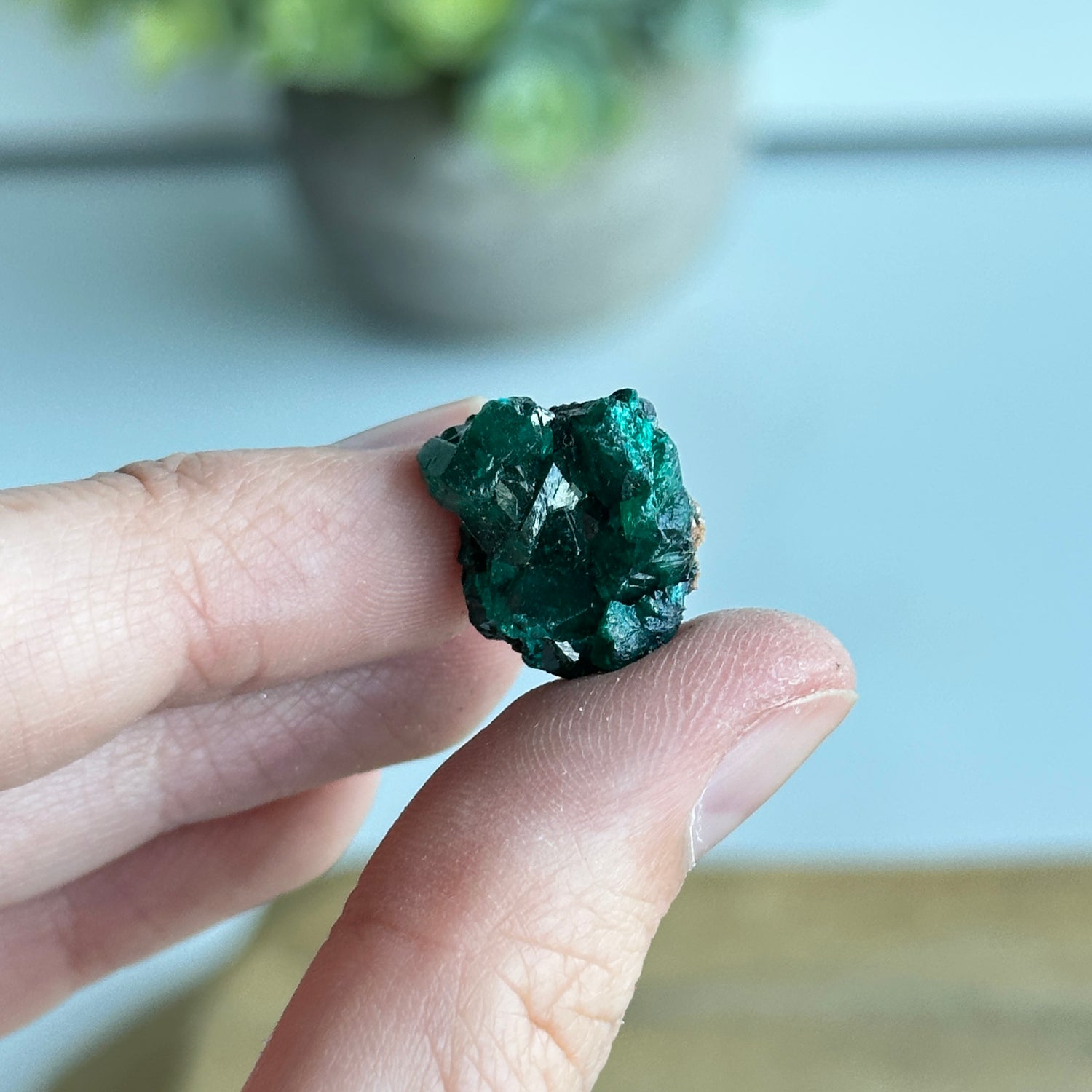 Diaoptase Pce 2g