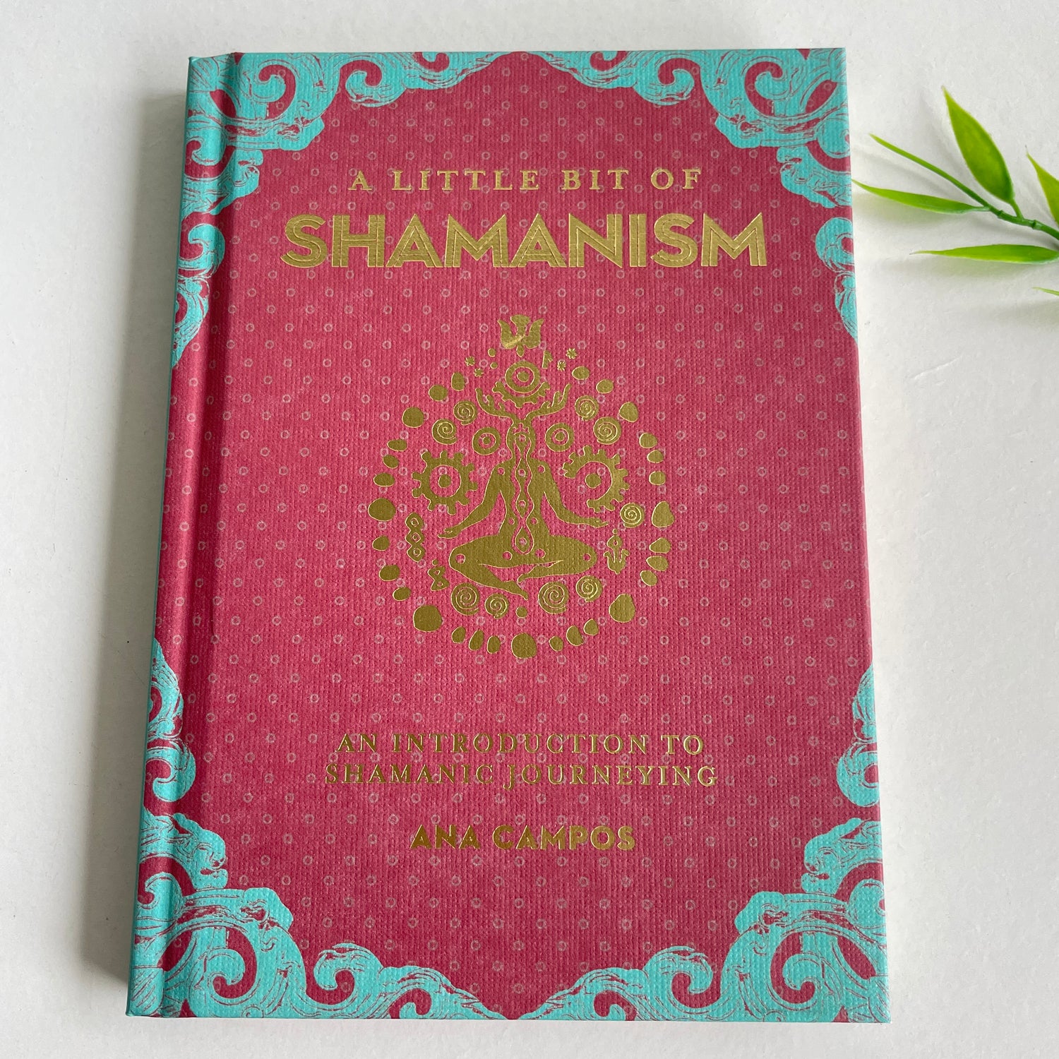 A Little Bit of Shamanism Ana Campos