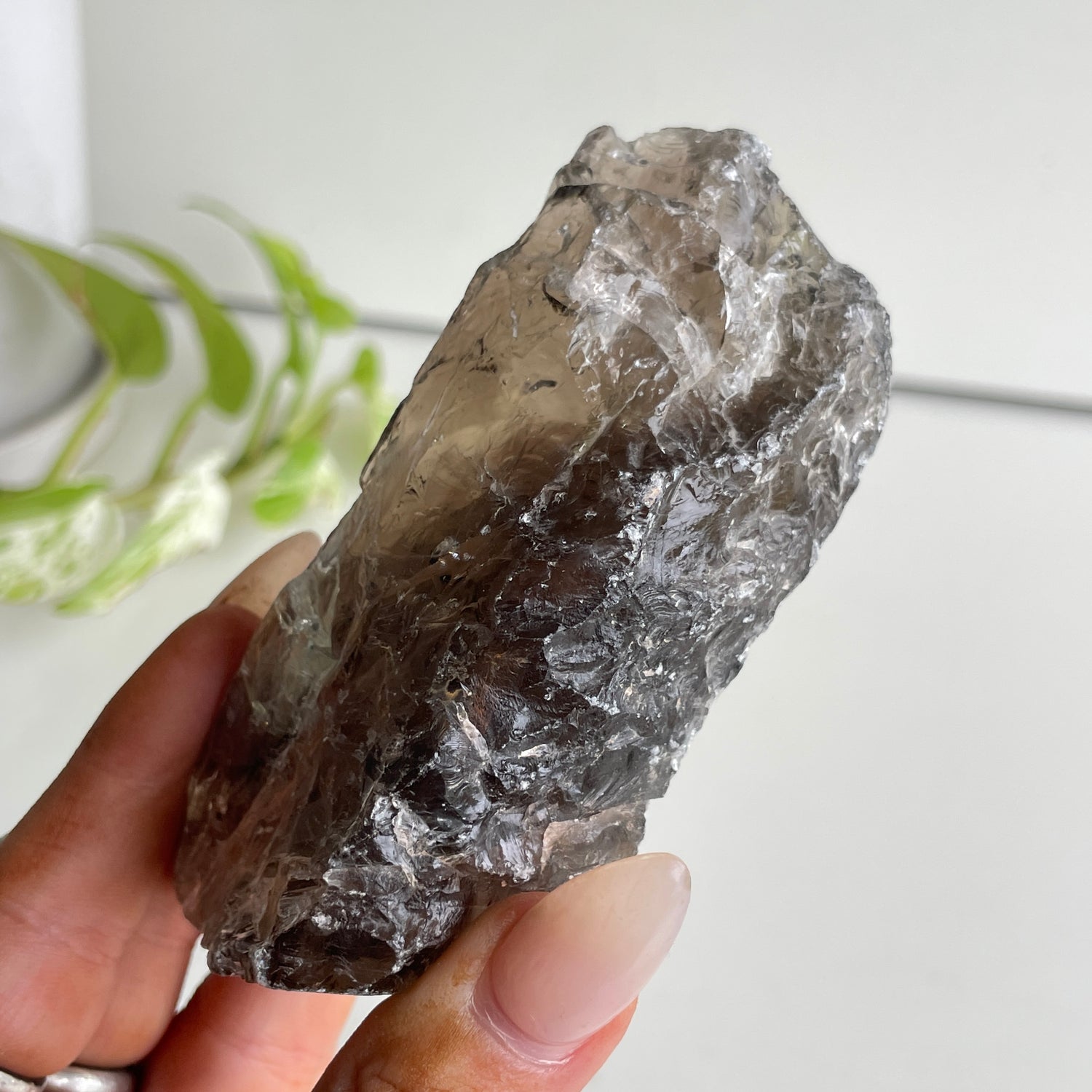 Smoky Citrine Pce 240g