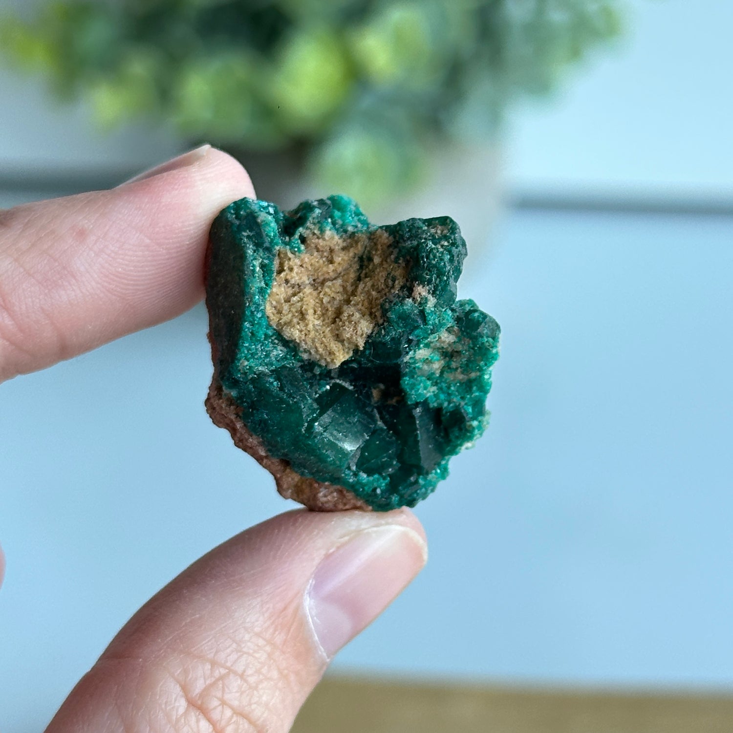 Dioptase Pce 12g