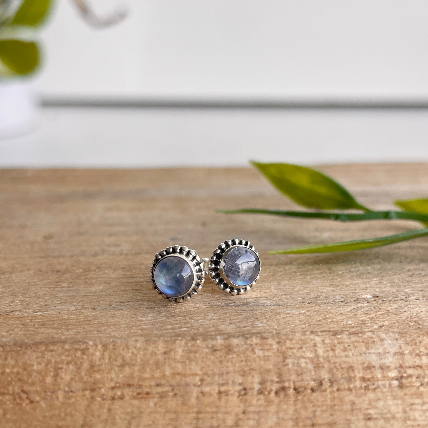 Moonstone Round Studs