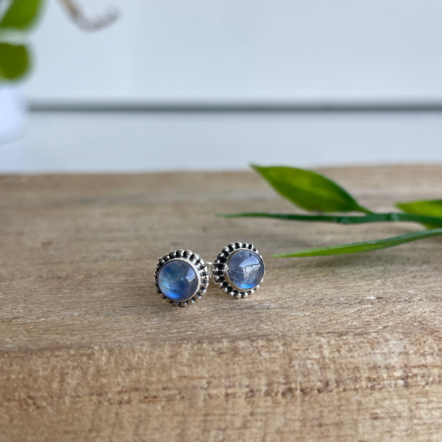 Moonstone Round Studs