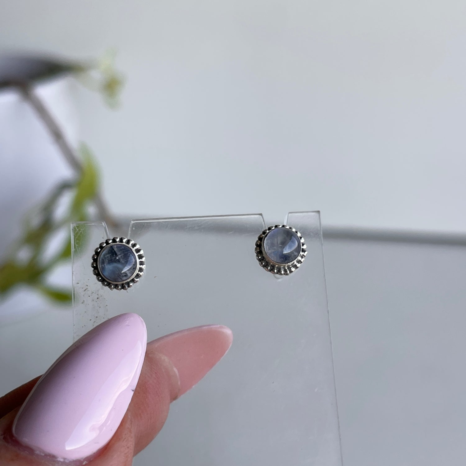 Moonstone Round Studs