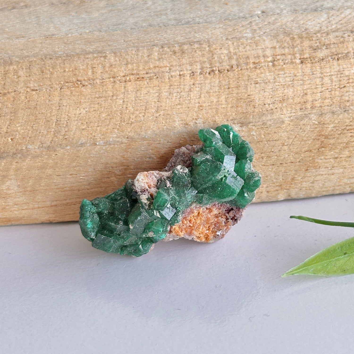 Diaoptase Pce 8g