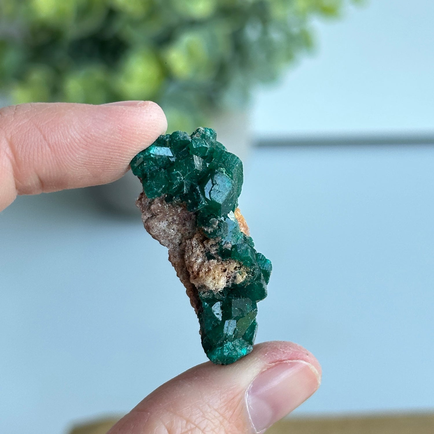 Diaoptase Pce 8g